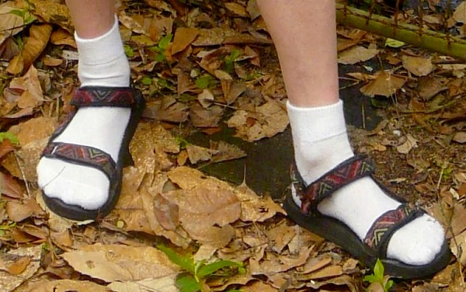 Best Sandals for Cracked Heels 